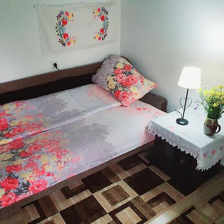 Etno Domacinstvo Saponjic Otel Nova Varoš Dış mekan fotoğraf