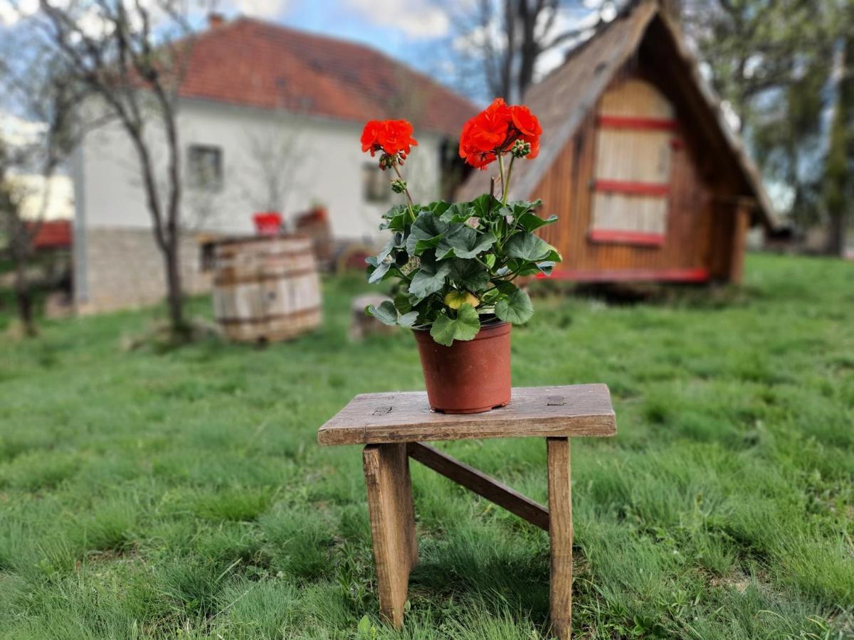 Etno Domacinstvo Saponjic Otel Nova Varoš Dış mekan fotoğraf