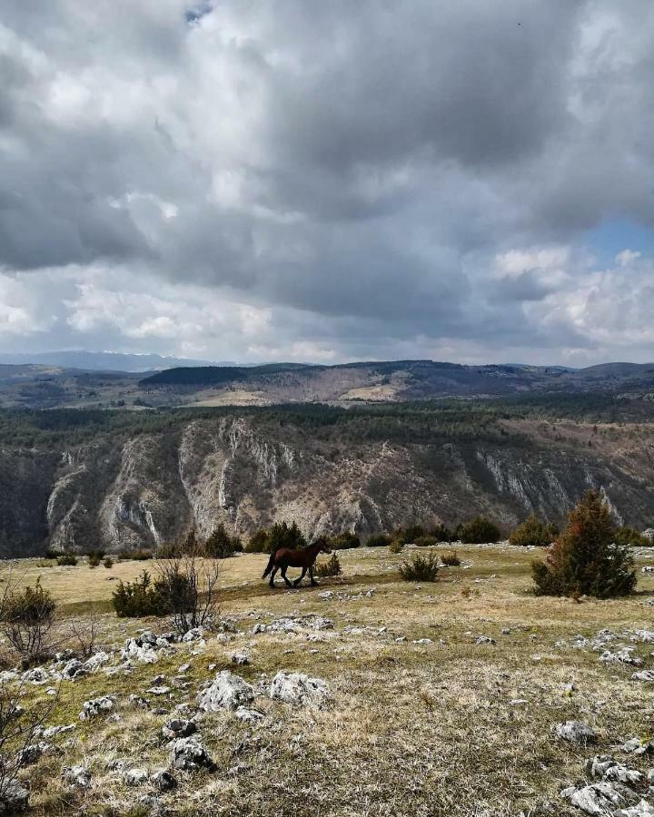 Etno Domacinstvo Saponjic Otel Nova Varoš Dış mekan fotoğraf