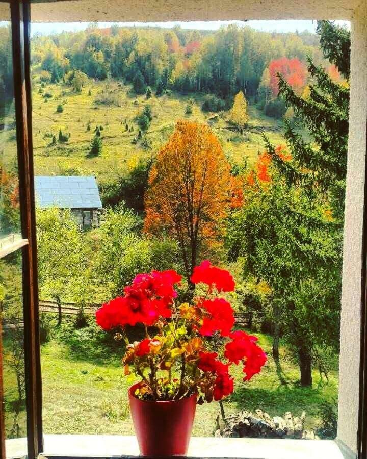 Etno Domacinstvo Saponjic Otel Nova Varoš Dış mekan fotoğraf
